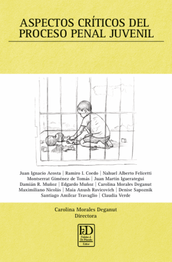Aspectos críticos del proceso penal juvenil