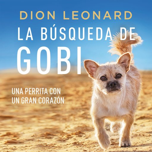 La Busqueda de Gobi, Una perrita con un gran corazon