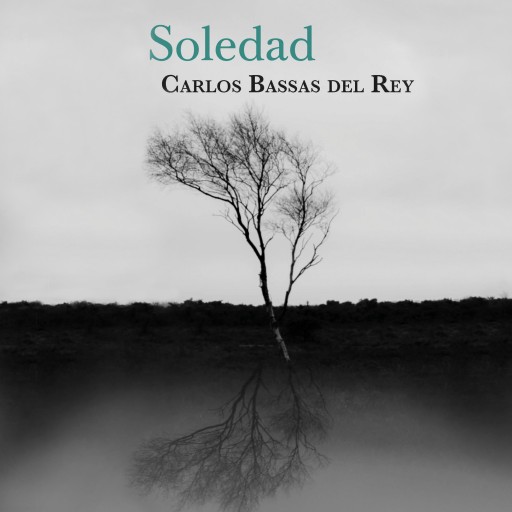 Soledad imagen de portada