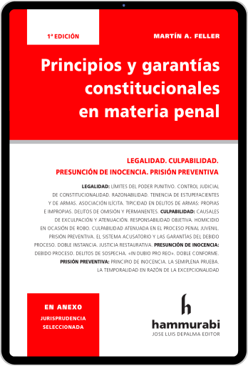 Principios y garantías constitucionales en materia penal