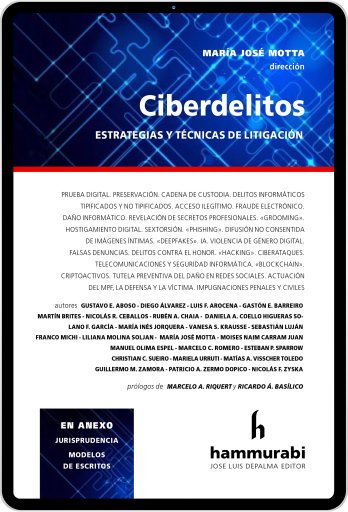 Ciberdelitos