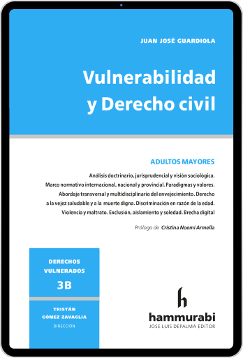 Vulnerabilidad y Derecho civil