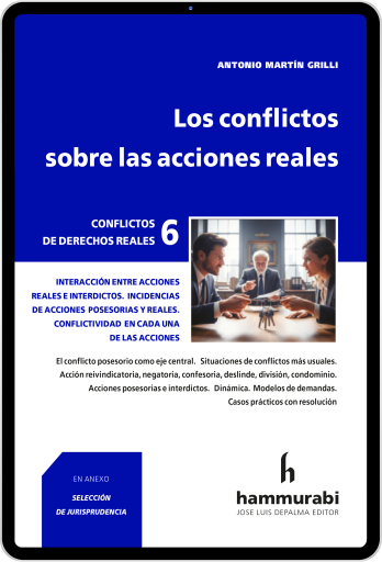 Los conflictos sobre las acciones reales tomo 6