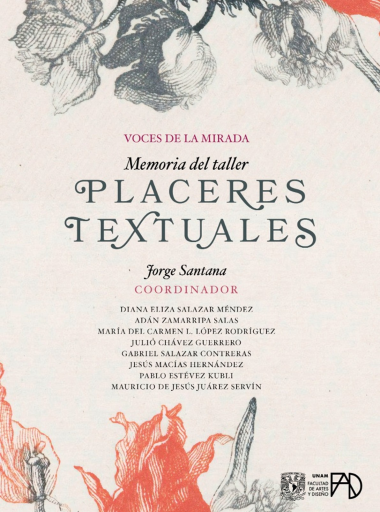 Voces de la mirada. Memoria del taller Placeres textuales