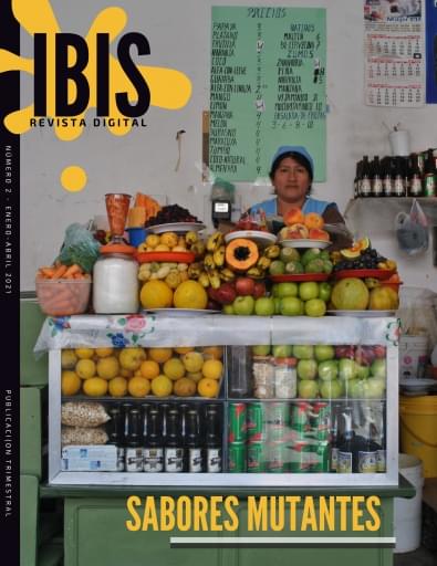 IBIS Revista digital y multimedia No. 2 ene-abril 2021