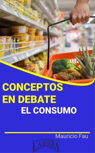 Conceptos en debate: el consumo