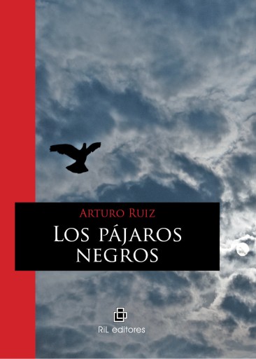 Los pájaros negros