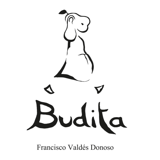 Budita