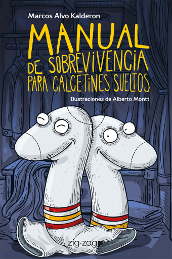 Manual de sobrevivencia para calcetines sueltos
