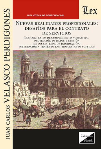 Nuevas realidades profesionales. Desafìos para el contrato de servicios