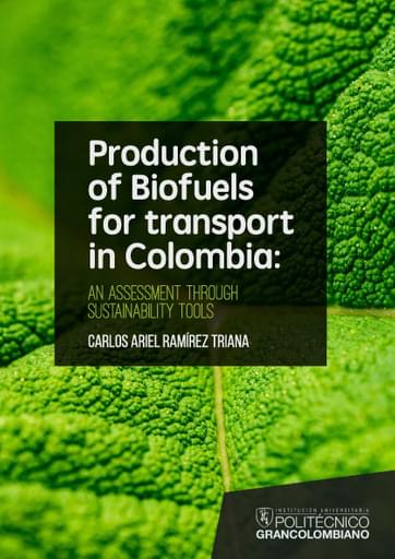 Production of biofuels for transport in Colombia: An assessment through sustanability tools