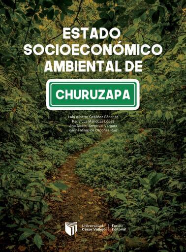 ESTADO SOCIOECONÓMICO AMBIENTAL DE CHURUZAPA