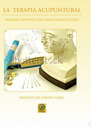 La Terapia acupuntural
