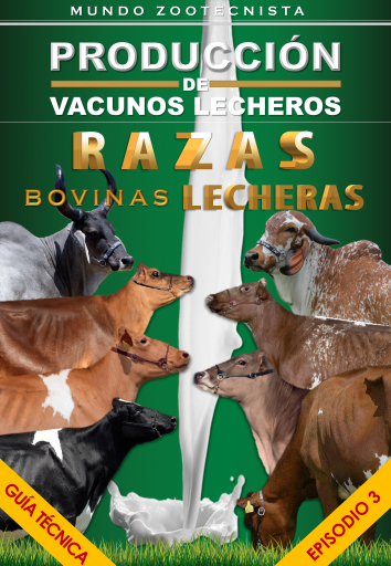 Razas Bovinas Lecheras