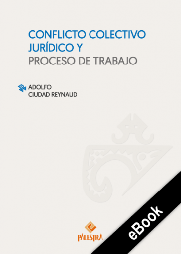 Conflicto colectivo jurídico y proceso de trabajo