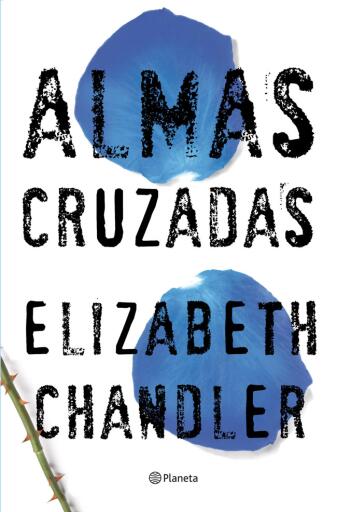 Portada del libro «Almas cruzadas», de Elizabeth Chandler