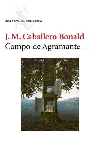 Campo de Agramante