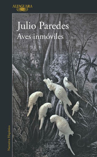 Aves inmóviles