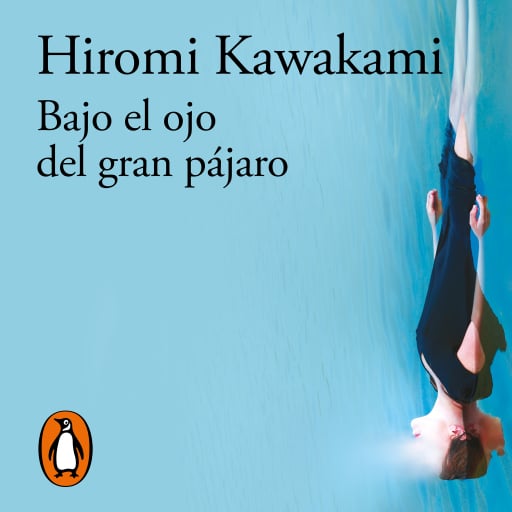Bajo el ojo del gran pájaro