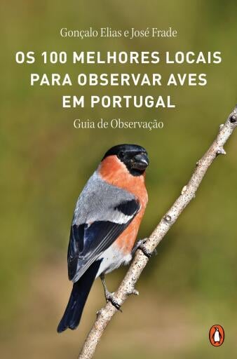 Os 100 melhores locais para observar aves em Portugal