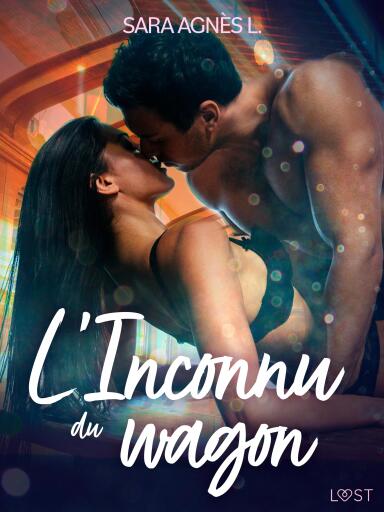 L'Inconnu du wagon – Une nouvelle érotique