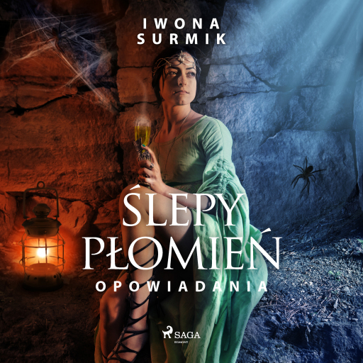 Ślepy płomień - zbiór opowiadań