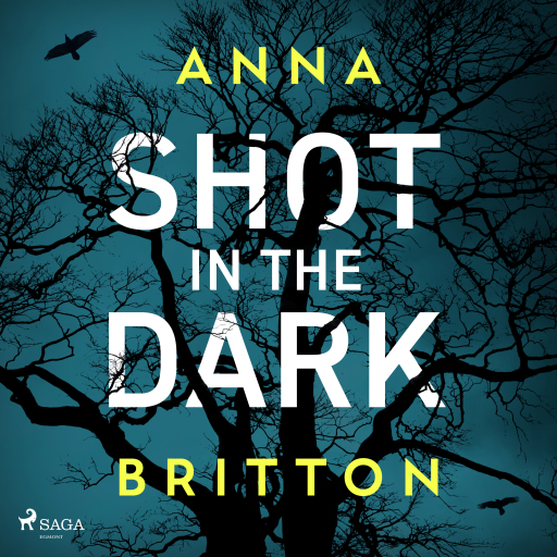 Shot in the Dark