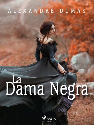 Portada del libro «La dama negra», de Alexandre Dumas