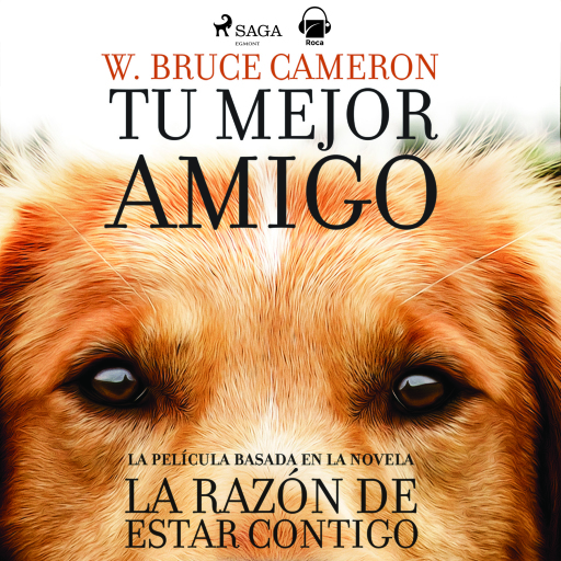 La razón de estar contigo. Tu mejor amigo