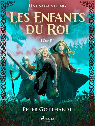 Les Enfants du Roi Tome 1 – Une saga viking
