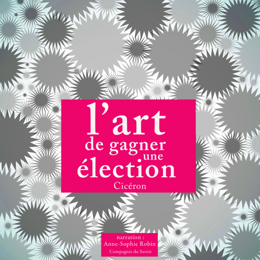 L'art de gagner une élection