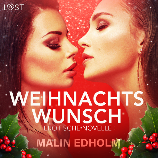 Weihnachtswunsch: Erotische Novelle