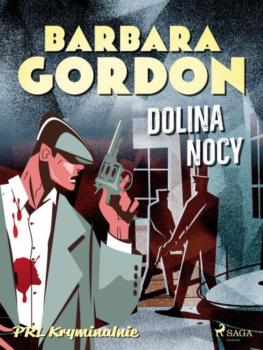 Dolina nocy