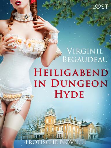Heiligabend in Dungeon Hyde - Erotische Novelle