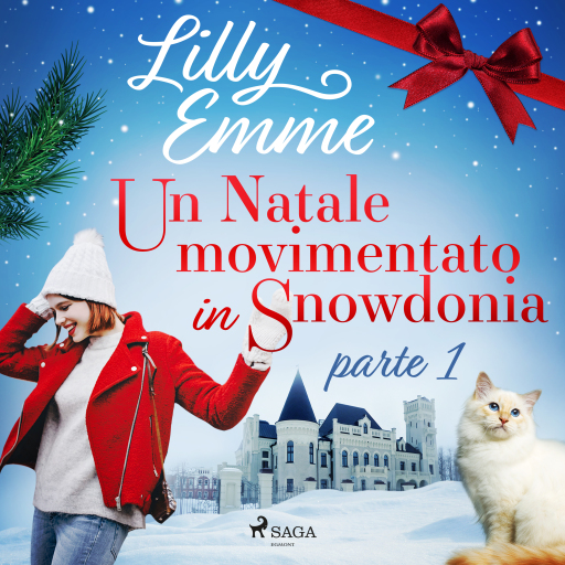 Un Natale movimentato in Snowdonia – parte 1