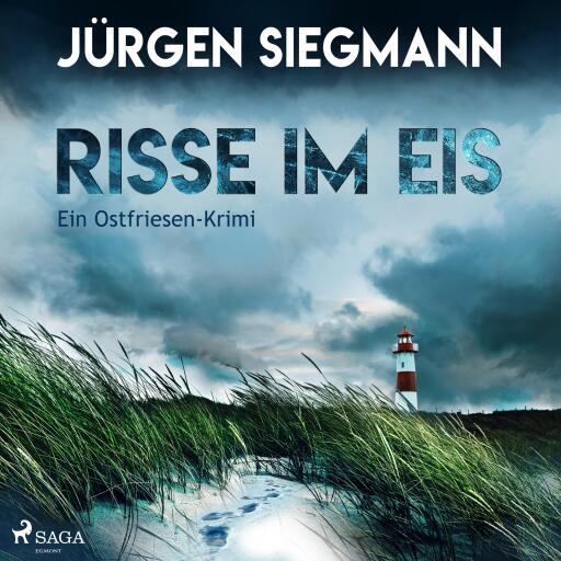 Risse im Eis - Ein Ostfriesen-Krimi (Ungekürzt)