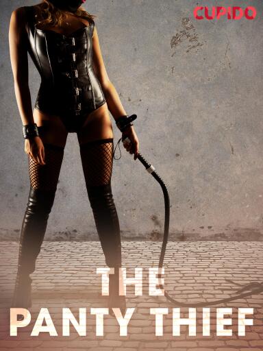 Portada del libro «The Panty Thief», de Cupido