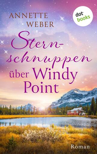Sternschnuppen über Windy Point
