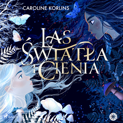 Las światła i cienia