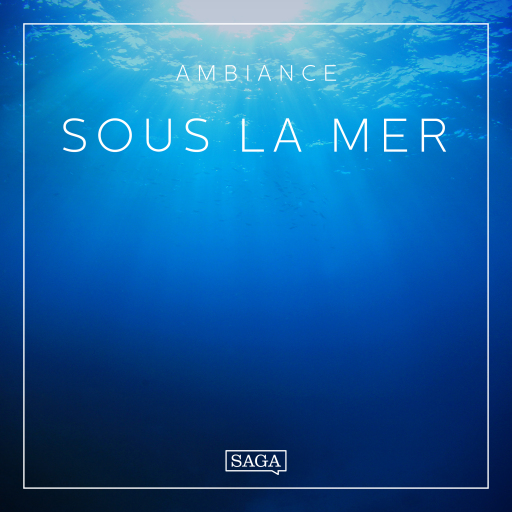 Ambiance – Sous la mer