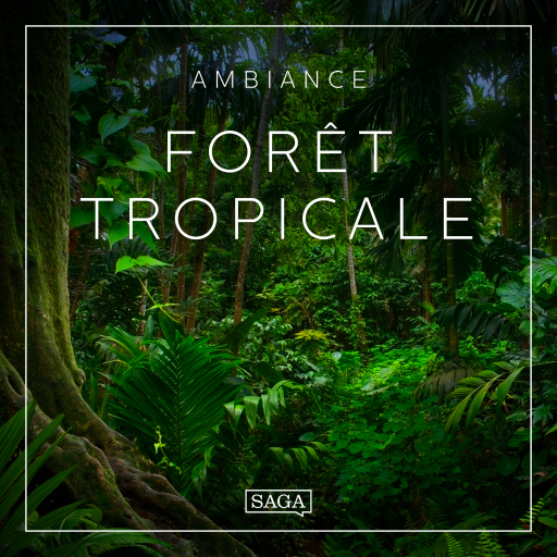 Ambiance – Forêt tropicale