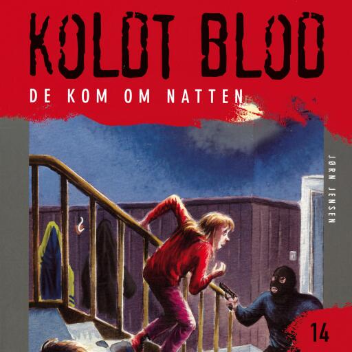 De kom om natten