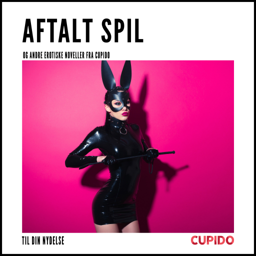 Aftalt spil – og andre erotiske noveller fra Cupido