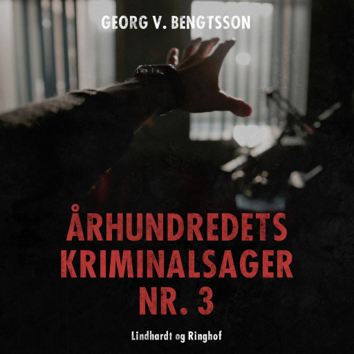 Århundredets kriminalsager nr. 3