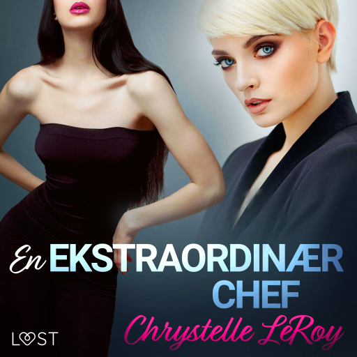 En ekstraordinær chef – erotisk novelle