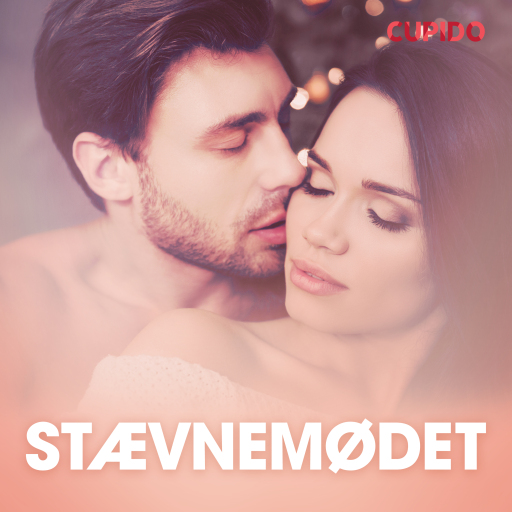 Stævnemødet – erotiske noveller
