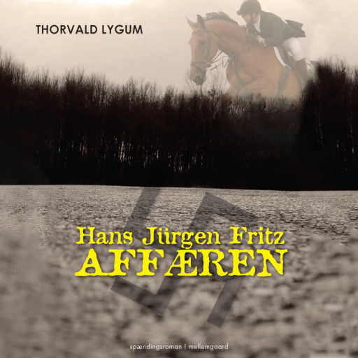 Hans Jürgen Fritz–affæren