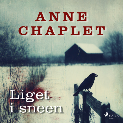 Liget i sneen