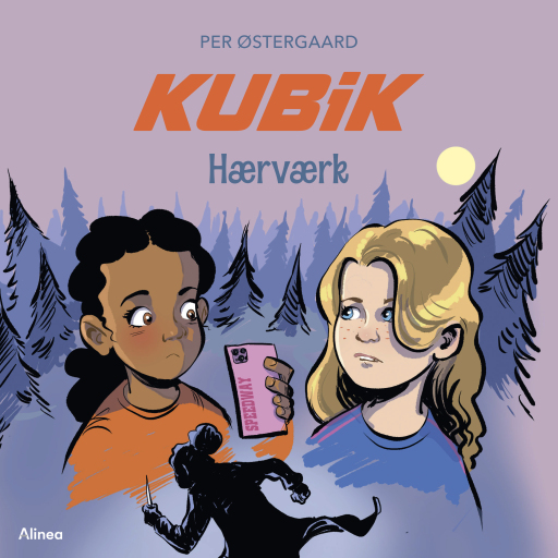 KUBIK – Hærværk