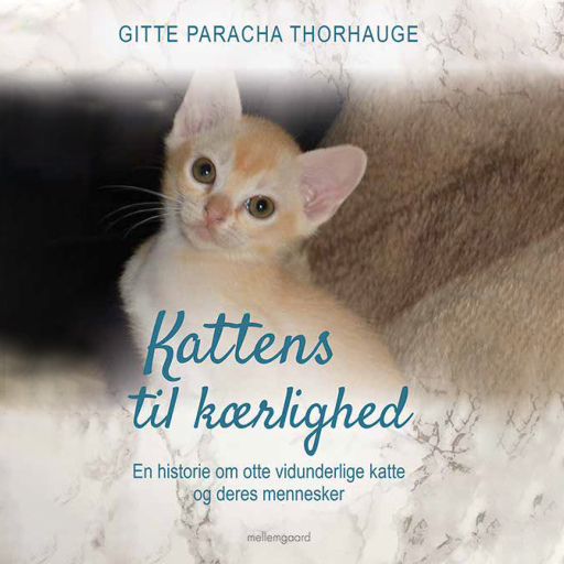 Kattens til kærlighed – En historie om otte vidunderlige katte og deres mennesker